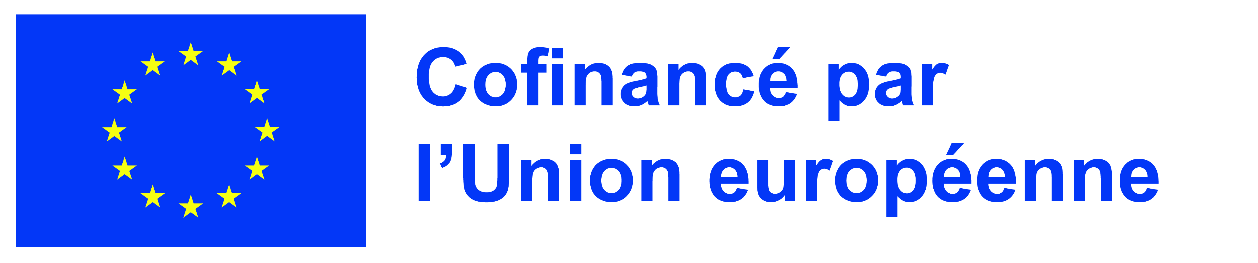 Logo Co finance par UE min